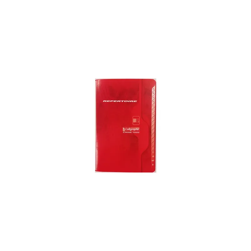 REPERTOIRE 11X17 COUVERTURE CARTE 96P PETITS CARREAUX 70G