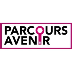 OPTION PARCOURS AVENIR 3E