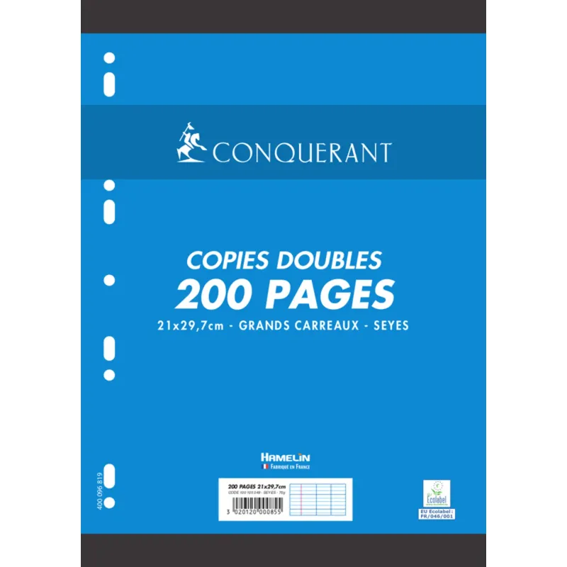 COPIES DOUBLES 21X29,7 200P GRANDS CARREAUX 70G BLANC